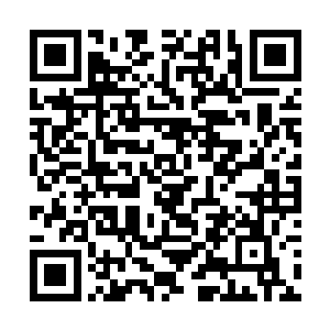 其他的高手也是全都跟着夹缝监狱的副狱主进行撤军二维码生成