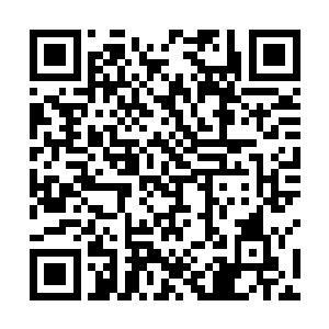 其他那些前来观礼的各大宗门代表哪好意思不表示表示二维码生成