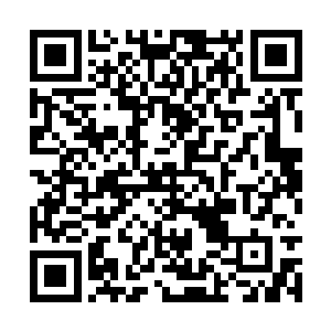 其他都是来自于叶母的私人电话和家里的固定电话二维码生成