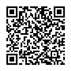 其他飞艇上的滑翔机的飞行任务也几乎完全无法展开二维码生成