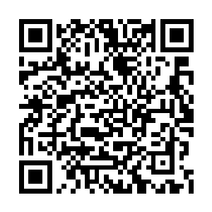 其他食客见到这里即将打架顿时哄闹着退出店外二维码生成