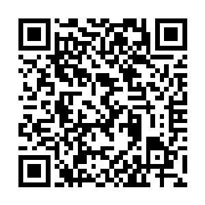 其余七人看向沈凡的眼神……那就一个……不可思议二维码生成