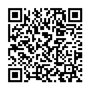 其余三位副团长率领另外两个半步玄主和三十个大帝二维码生成