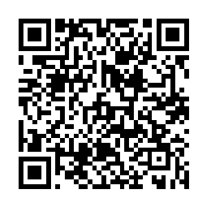 其余三大家族的猪狗就差没把眼珠戳到我们的眼窝里来二维码生成