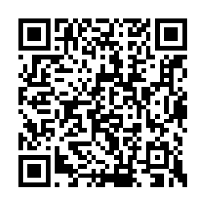 其余事情都很笨的南北小和尚顿时陷入两难境地二维码生成