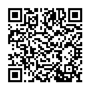 其余人见状不仅没有流露出任何不忍目睹的表情二维码生成