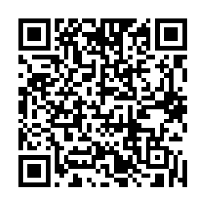 其余众多人类强者也纷纷被古无心或者说自身的恐惧所激怒二维码生成