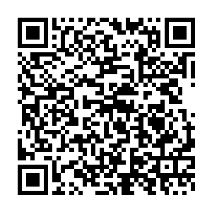 其余八个飞天婴颅和席卷着漫天腥臭黑气的毒物早已经把他围了起来二维码生成