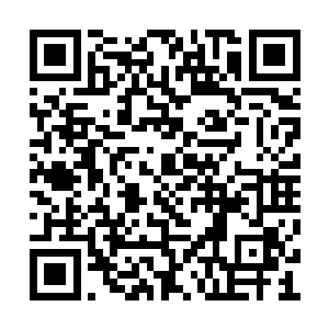 其余六条舟上的夜叉已一起发出不屑鄙夷的笑声二维码生成