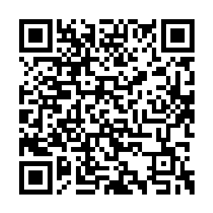 其余几名保镖都可以下班回家了――如果在平时二维码生成