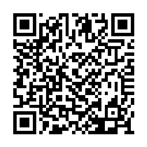 其余巨龙的目光顿时落在了刀术大师康恩的身上二维码生成