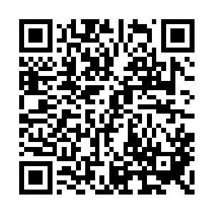 其余所有的人类舰队都可以自由向我们发动攻击二维码生成