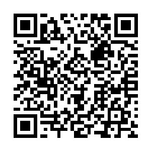 其余的下人见平日里嚣张跋扈不可一世的徐管家都被吓成这样二维码生成