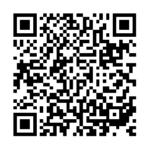 其余的两个神尊级别的老者望向龙傲天的目光中也是充满了怨毒二维码生成