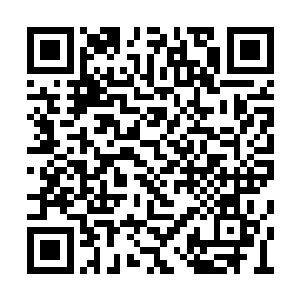 其余的两位和他实力差不多的星耀境六星也死了二维码生成