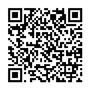 其余的修士都一边在吃力地抵挡着空中的那个大手掌二维码生成