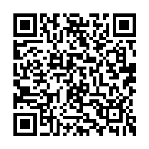 其余的几个人虽然说没有九长老表现的那么明显二维码生成