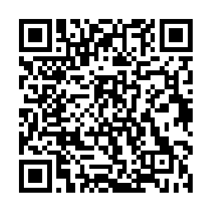 其余的天龙宗的众人的目光也是望向了龙傲天的身上二维码生成