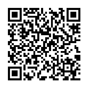 其余的弟子就让他们在莲花峰干些力所能及的活吧二维码生成