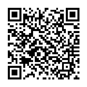 其余的所有的精力全都放到了龙天麟几个人的身上二维码生成