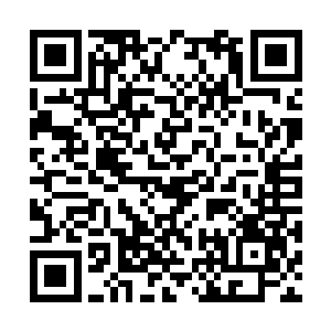 其余的源境强者根据实力的高低列为护法以及长老二维码生成