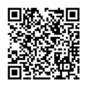 其余的给家里所有的孩子一人打了一套生肖金饰物二维码生成