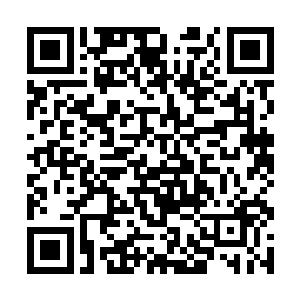 其余的那些五十多道身影竟然全都是皇级以上的修为二维码生成