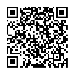 其余的部位全都是鲜血……而且从形状和痕迹来看……二维码生成