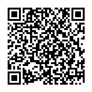 其余的龙狂带上四名龙魂的圣级后期的高手缠上了对方另外一名神级中期的强者二维码生成