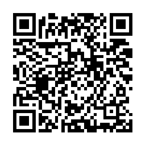 其余金丹后期以下的金丹修士在这么大的重力下无法飞行二维码生成