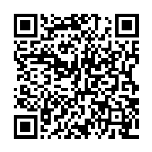 其倚仗的就是广源州和升龙府之间有一片广袤的原始森林二维码生成