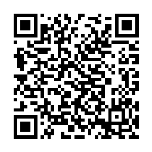 其剑法境界更是达到了天境初阶草木皆为剑的层次二维码生成