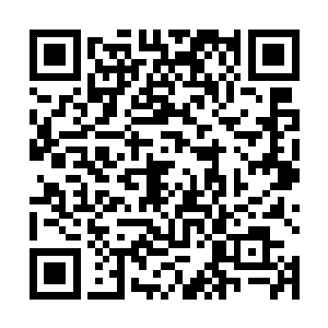 其双手上面本来即将凝聚成形的气体一下子就湮灭散去二维码生成