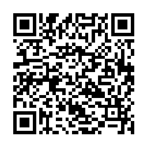 其各自心中……一种源自生物本能的杀意便已燃升起来二维码生成