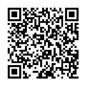 其墨镜下的目光又重新聚焦到了模仿之魂的脸上二维码生成