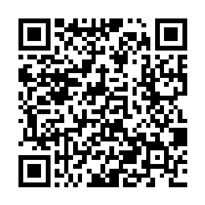 其威能也许会令许紫烟和燕山魂两个圣级大修士陨落二维码生成