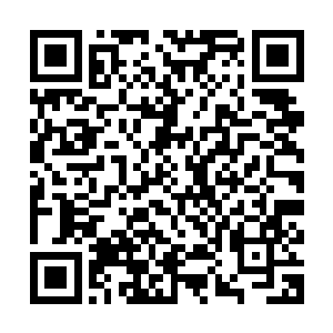 其存在的时间比起以浮光分影斩出名的戚少名不知要强上多少倍二维码生成