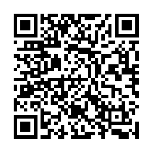 其它的什么紫晶战甲和金晶战甲之类的那更是不计其数二维码生成