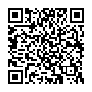 其实……这些绝密消息基本都是这两天才得到的二维码生成