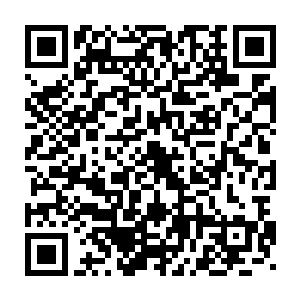 其实为什么天蝎圣骑也不知道苏凡他们一定有办法能够打开那铁棍二维码生成