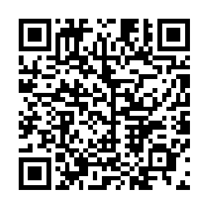 其实主要还是因为他儿子自己争气考上了江州大学中医学院二维码生成