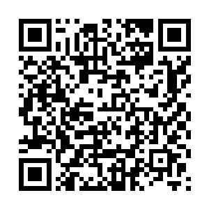 其实也不过是让她心情不至于给失去天道觉醒而失落二维码生成