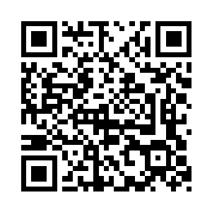 其实也就是公家花了一千多块钱买了个驾照二维码生成