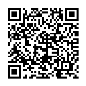 其实也就是千叶佳子豢养的女式神一出来便张开满嘴的獠牙二维码生成