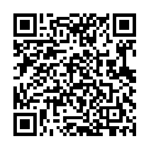 其实也很不错的楚云天进入罗曼议会不到一年的时间二维码生成