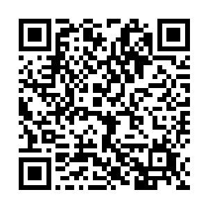 其实也没看出黑炭身上的战甲和以前的那套有什么区别二维码生成