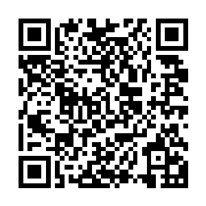 其实人类的大脑经过千百万年的进化已经拥有了一套保护组织二维码生成
