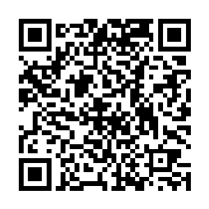 其实从一开始青瑶的异常表现她就知道对方肯定有问题二维码生成