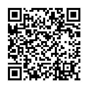 其实从大门出来到车子这边一共也可能就十步路二维码生成