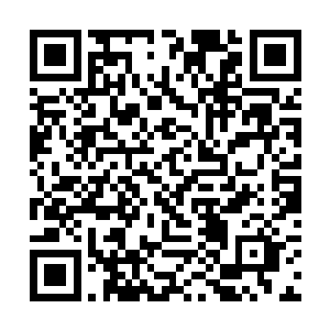 其实从江言入狱之后她就一直在担心江言的终身大事二维码生成